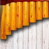 My Pan Flute
