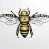 Philippa Bentley Bee