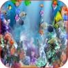 Aquarium Wallpapers Aquarium Frames