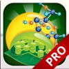 FCS Biology Photosynthesis (Pro)