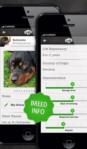 iPhone Screenshot 4