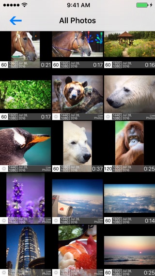 iPhone Screenshot 5