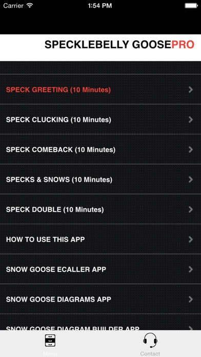 iPhone Screenshot 1