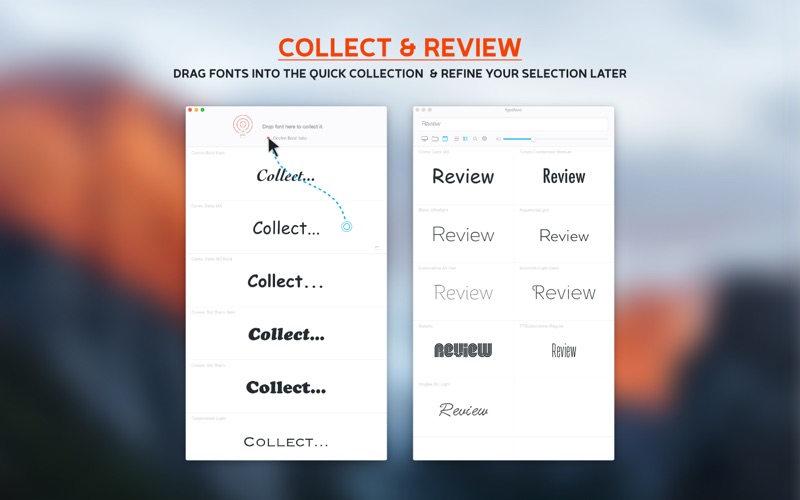 Typeface.app caprure 2 2_Typeface.jpg