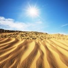 Desert Survival:Survival Guide:Tips and Tutorial survival blog 