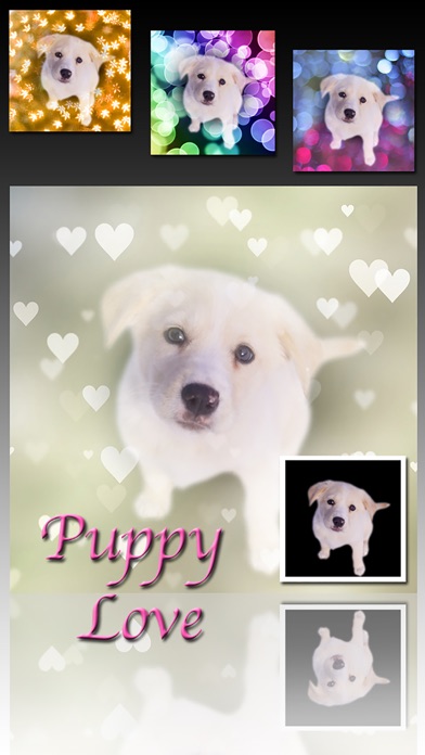 PhotoJus Bokeh FX screenshot 5