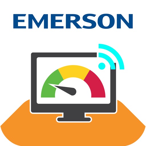 Emerson Asset View