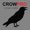 Crow Calls & Crow Sounds for Hunting Crows BLUETOOTH COMPATIBLE eating crow 