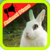 Animal Sounds Planet-Identify animal name with sounds list of animal sounds 