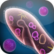 View Cell And Cell Structure App