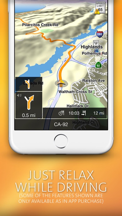iPhone Screenshot 3