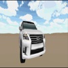 Climbing Sand Dune كنق التطعيس