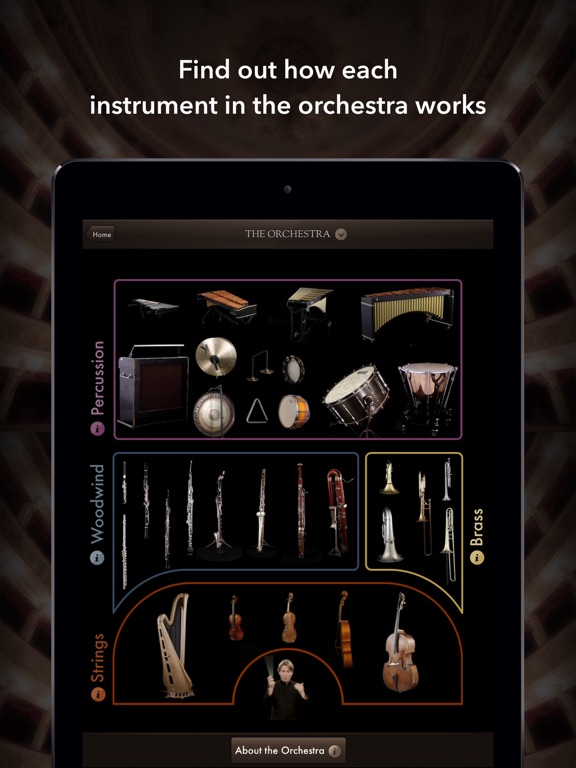 iPad Screenshot 4