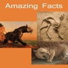 New Amazing Facts central asia facts 
