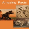 New Amazing Facts vegetarian facts 