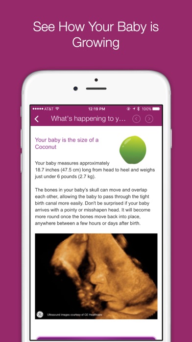 iPhone Screenshot 2