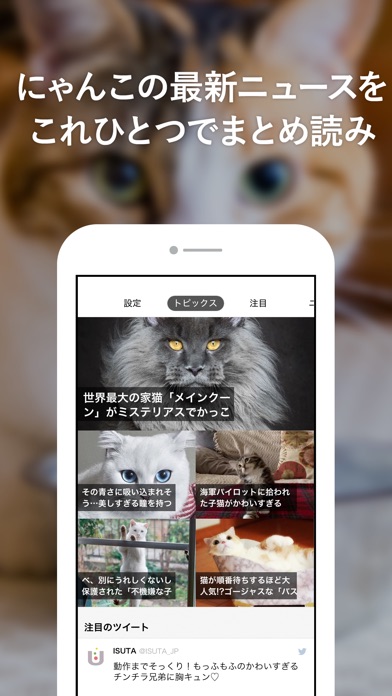 にゃんこGoGo - 猫好きによる猫好きのための写真満載ニュースアプリのおすすめ画像1