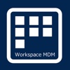 Workspace MDM App Catalog workspace log in 