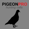 REAL Pigeon Calls and Pigeon Sounds for Hunting! -- BLUETOOTH COMPATIBLE wilderness resort pigeon forge 