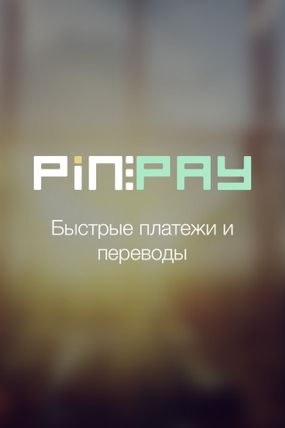 Screenshot of PIN:PAY