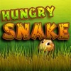 Hungry Snake 2 Games Hungry Snake
