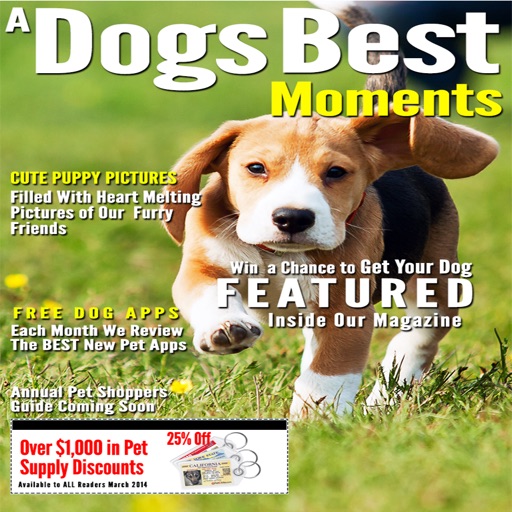 A Dogs Best Moments