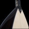Baglama Tuner Pro - Bağlama Akort Aracı spweb string
