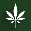 Florida Medical Marijuana medical marijuana states map 