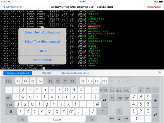 iPad Screenshot 1