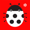 no app image