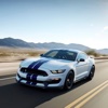 Reviews for Ford Cars Premium Photos and Videos ford cars 