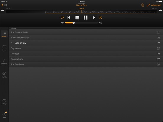 iPad Screenshot 2