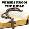 All Verses From The Bible