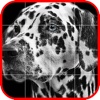 Picross Album - Nonogram
