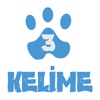 3 Kelime
