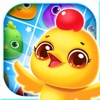 Chicken Splash