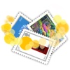 LignUp Stamps MultiCollector