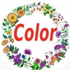 Coloring Book Notify For Me
