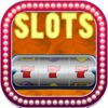 Wild Dolphins Winner Slots Machines