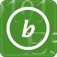 Number Converter Pro