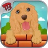 wash pets - free pet care