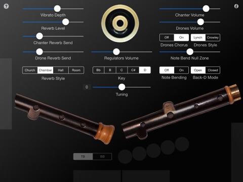 iPad Screenshot 2