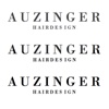 Auzinger Hairdesign