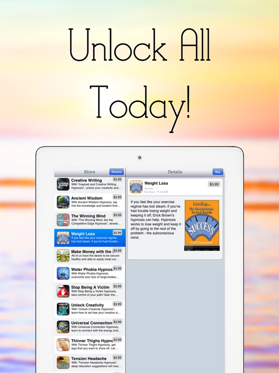 iPad Screenshot 5