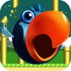 Super Flying Birds Rival Venture:Flappy Game Run Free for Boys venture capitalist game 