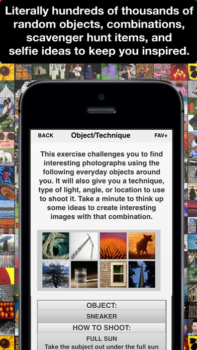iPhone Screenshot 3