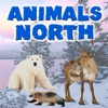 Animals-North