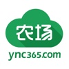 云农场