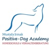 Positive-Dog Academy
