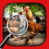 Hidden Object Animal Story